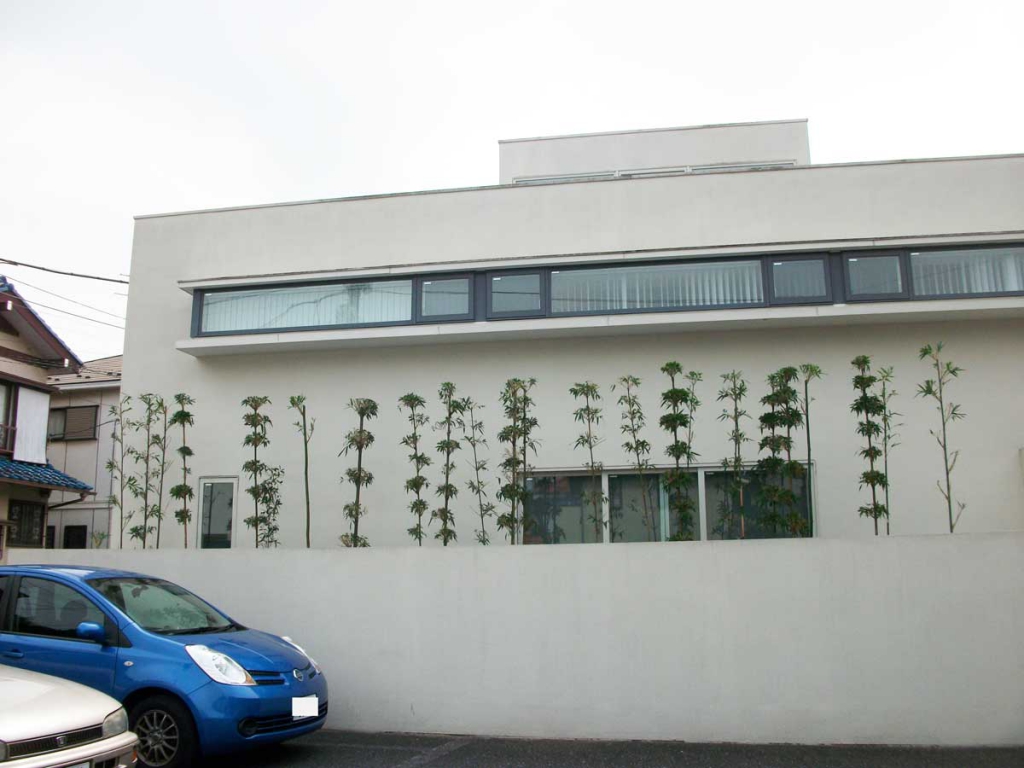 庭木の剪定後その1