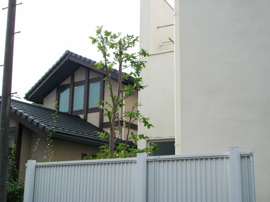 庭木の剪定後その2