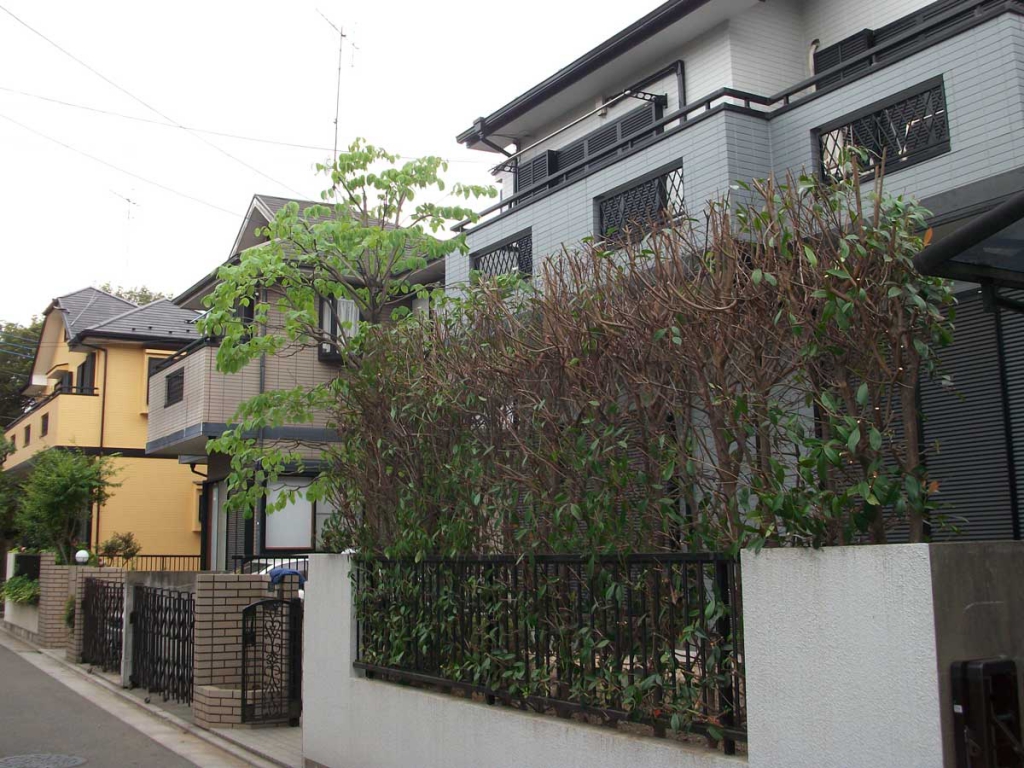清瀬市 剪定・除草後
