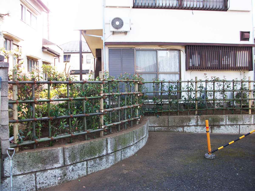 新規生垣の植栽