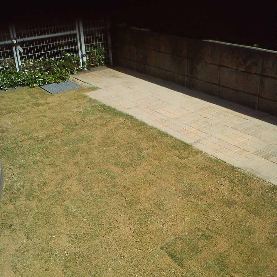 新築の芝張り